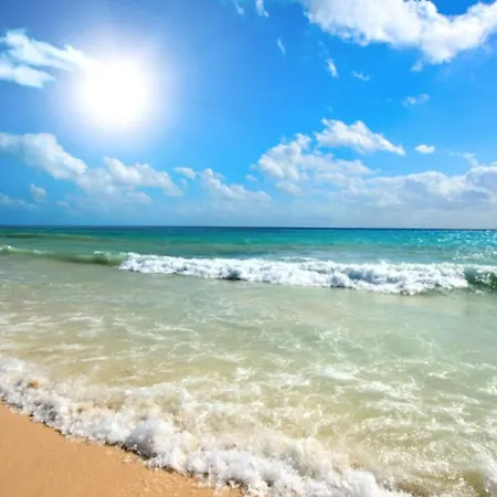 Daire Vechna R 18 Sunny *